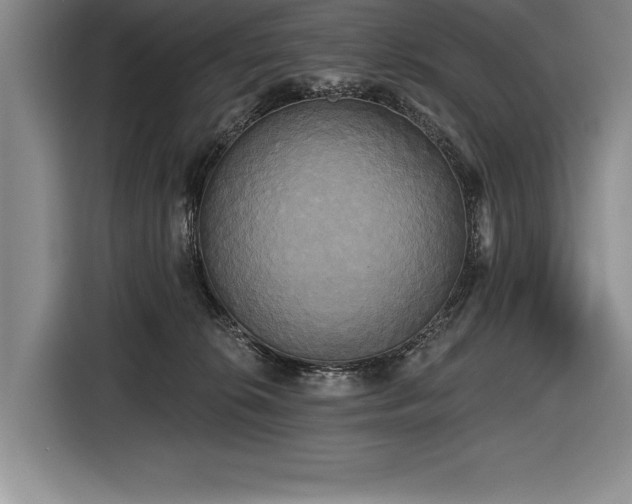 X0000116850276200912221125
