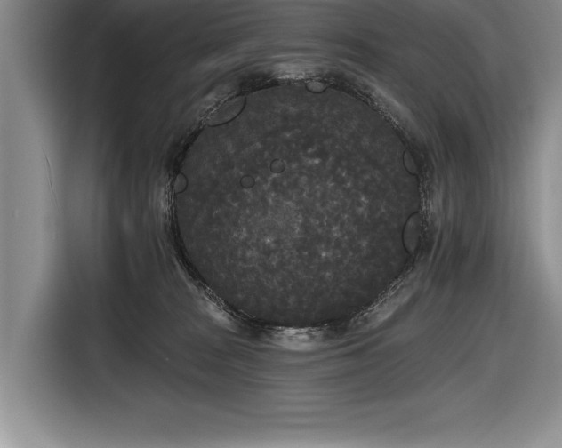 X0000116850277200912221125