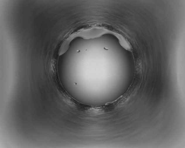 X0000116850280200912221125
