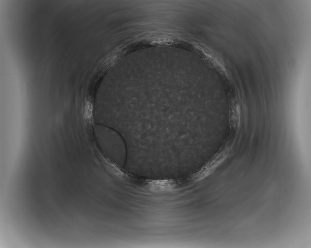 X0000116850281200912221125