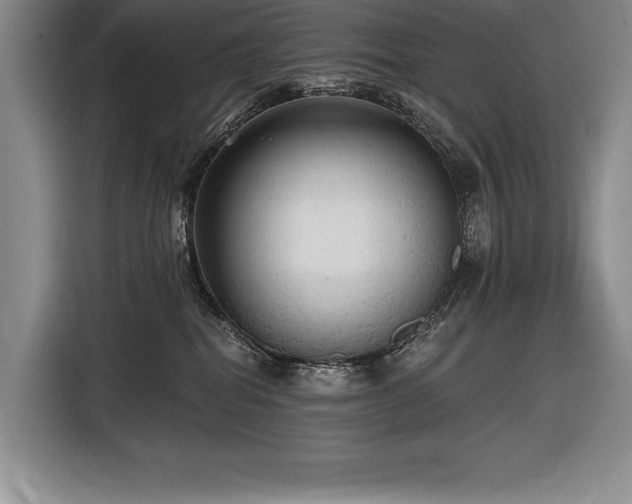 X0000116850282200912221125