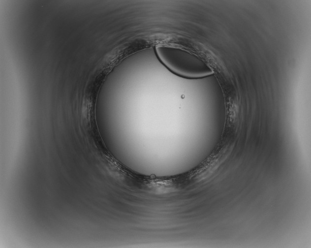 X0000116850283200912221125