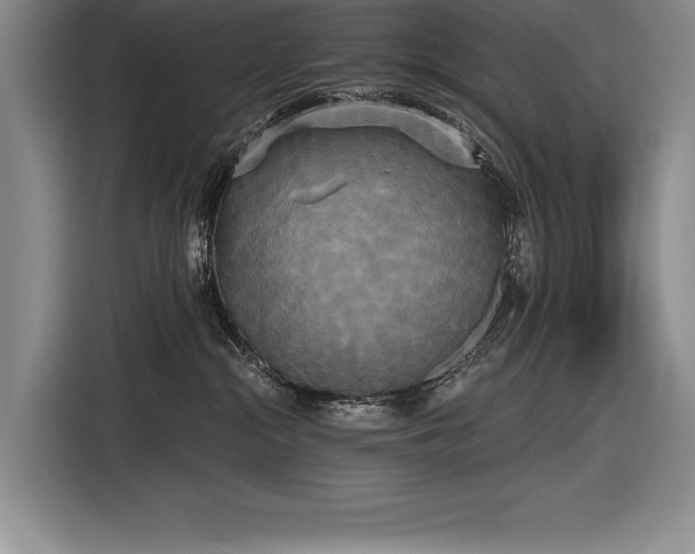 X0000116850284200912221125