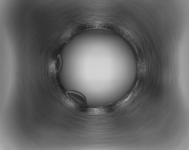X0000116850286200912221125