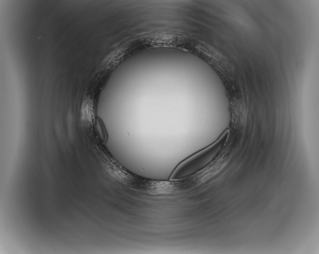 X0000116850287200912221125