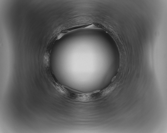 X0000116850288200912221125