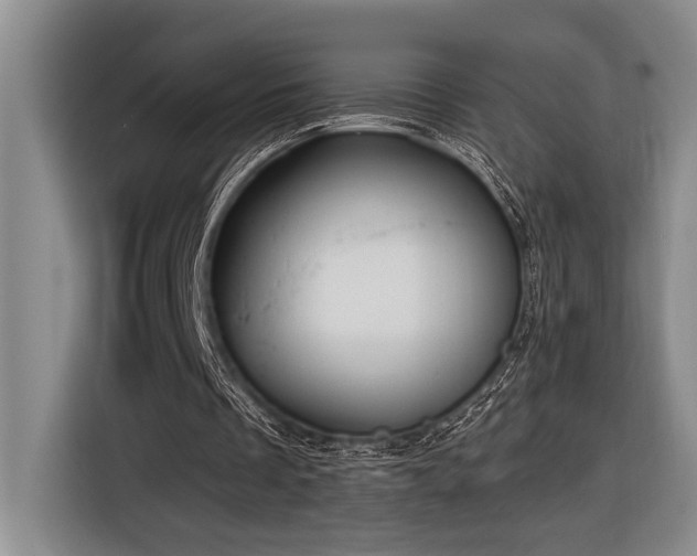 X0000116850289200912221124