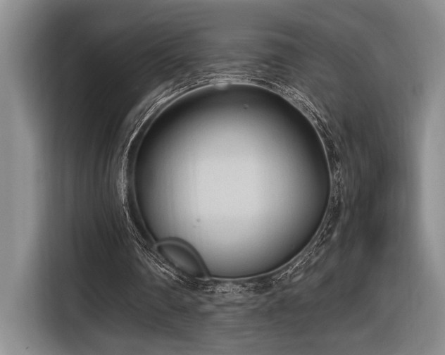 X0000116850290200912221124