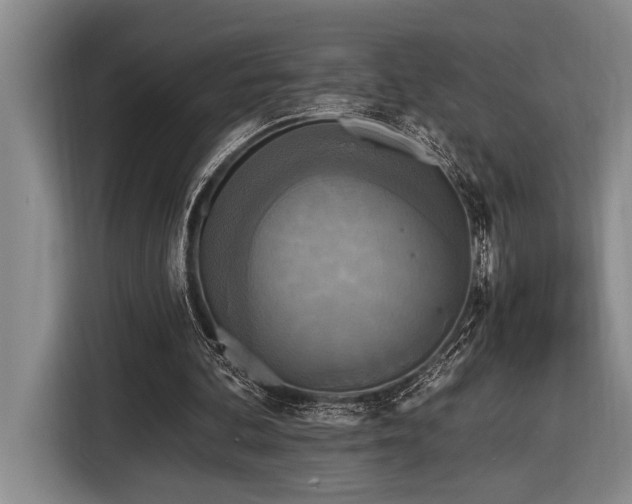 X0000116850292200912221124