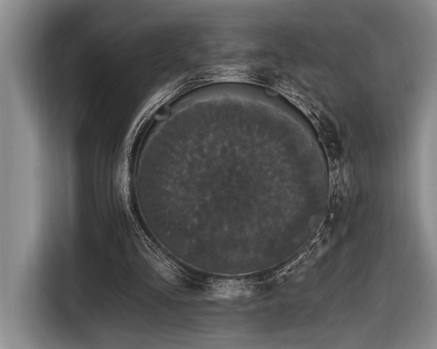 X0000116850293200912221124