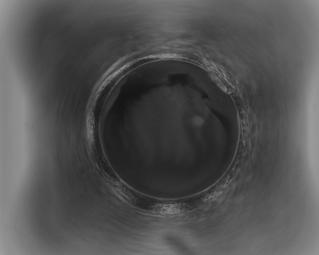 X0000116850295200912221124