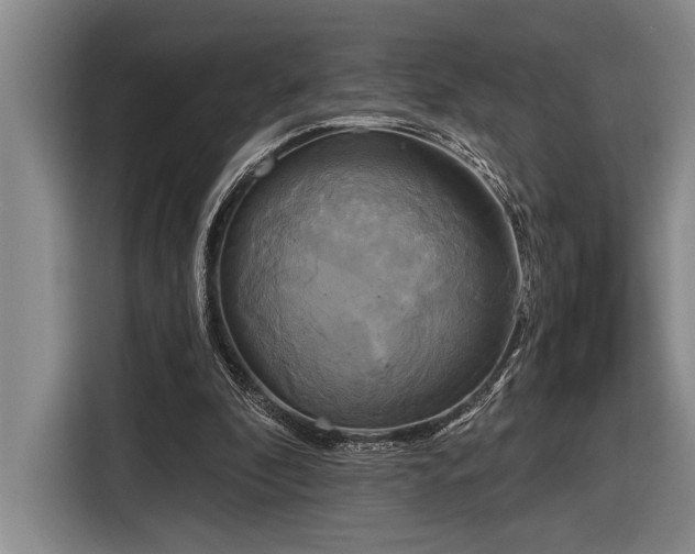 X0000116850296200912221124