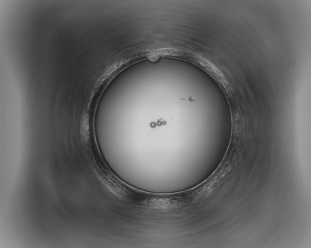 X0000116850298200912221124