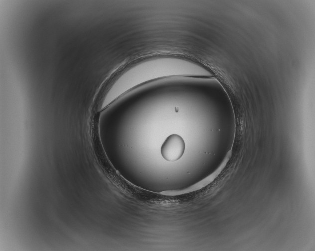 X0000116850304200912221124