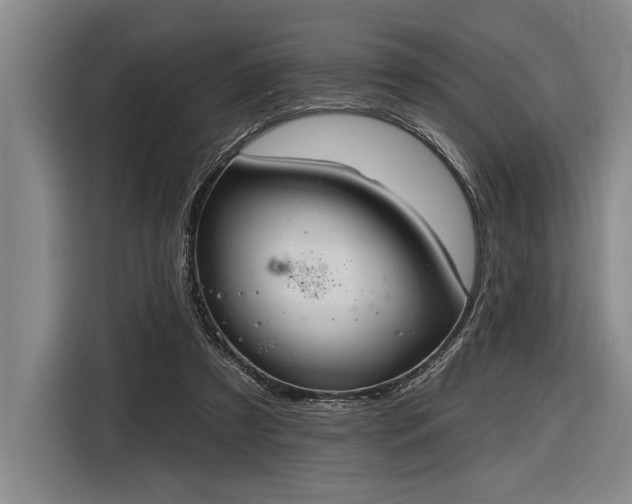 X0000116850305200912221124