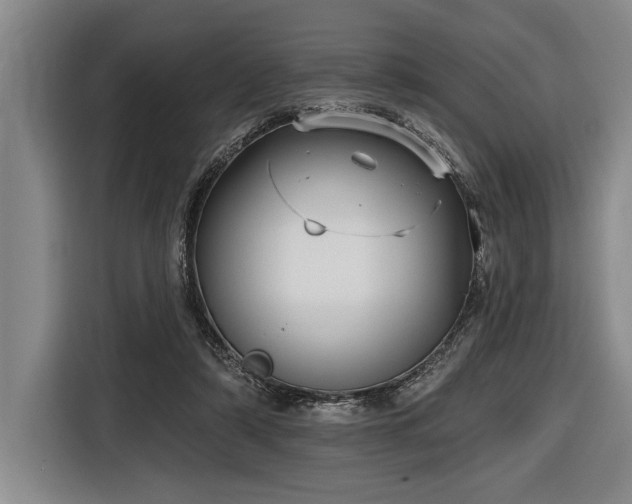 X0000116850306200912221124