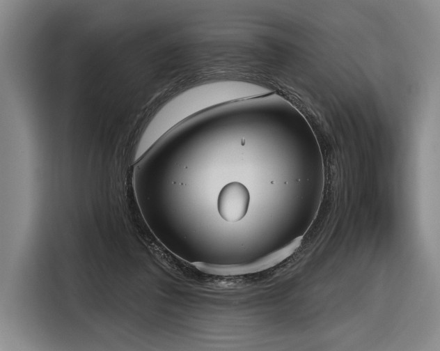 X0000116850308200912221124