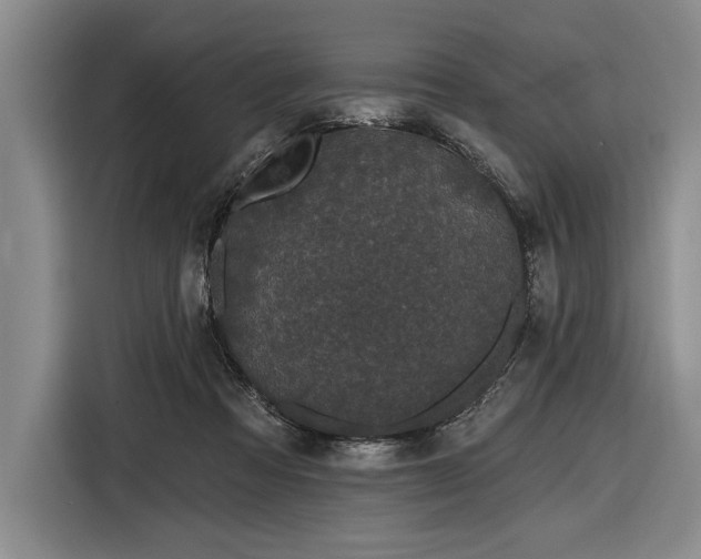 X0000116850313200912221124