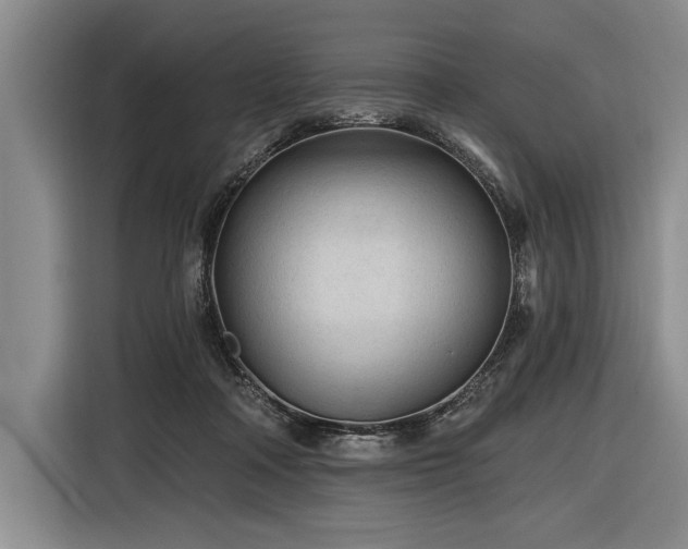 X0000116850314200912221124