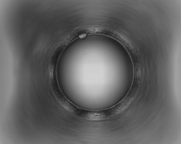 X0000116850315200912221124