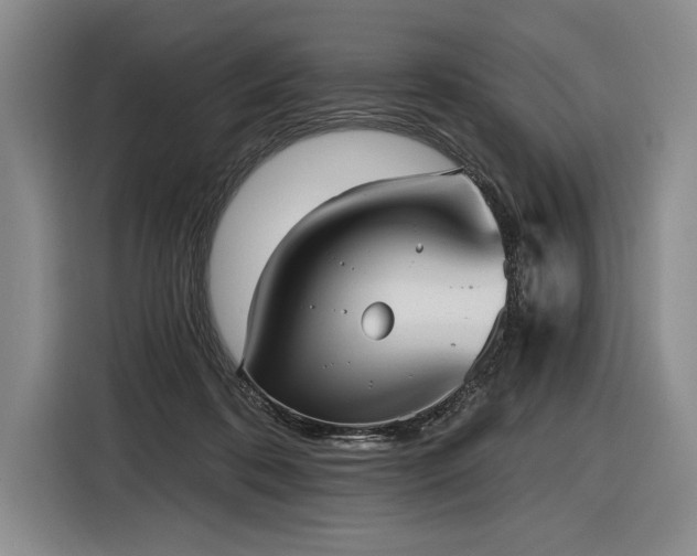 X0000116850316200912221124