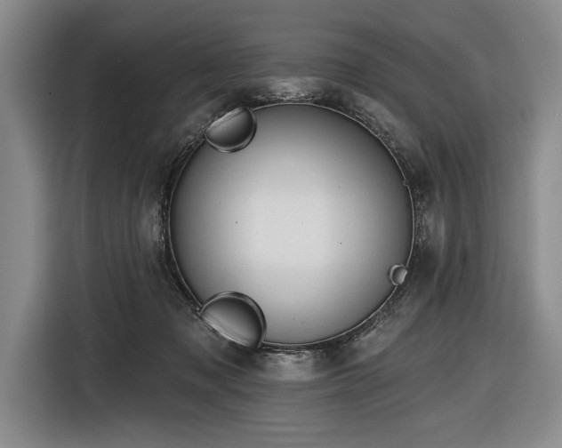 X0000116850317200912221124
