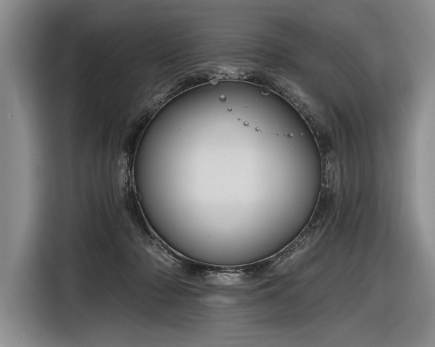 X0000116850318200912221124