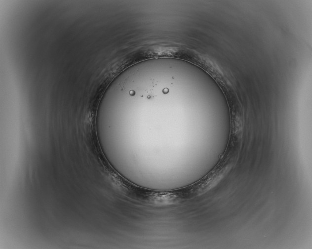 X0000116850321200912221124