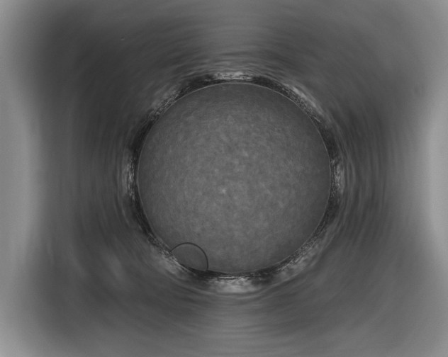 X0000116850322200912221124