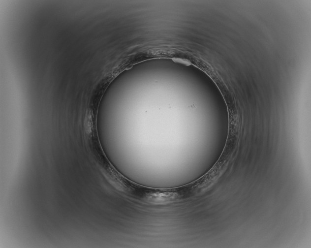 X0000116850323200912221124