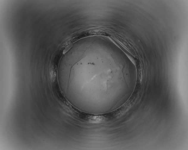 X0000116850324200912221124