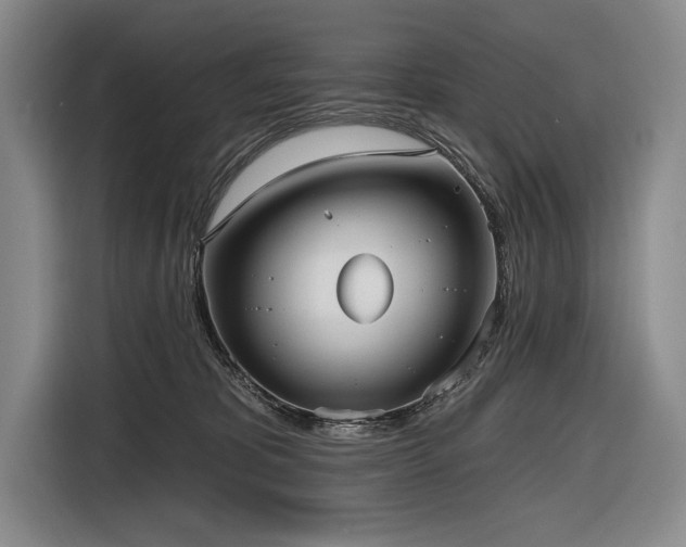 X0000116850325200912221124