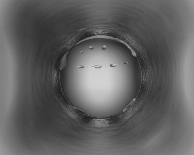 X0000116850327200912221124