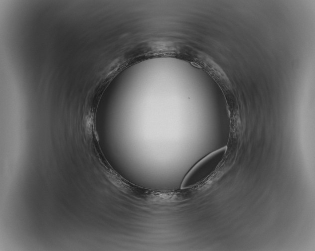X0000116850329200912221124