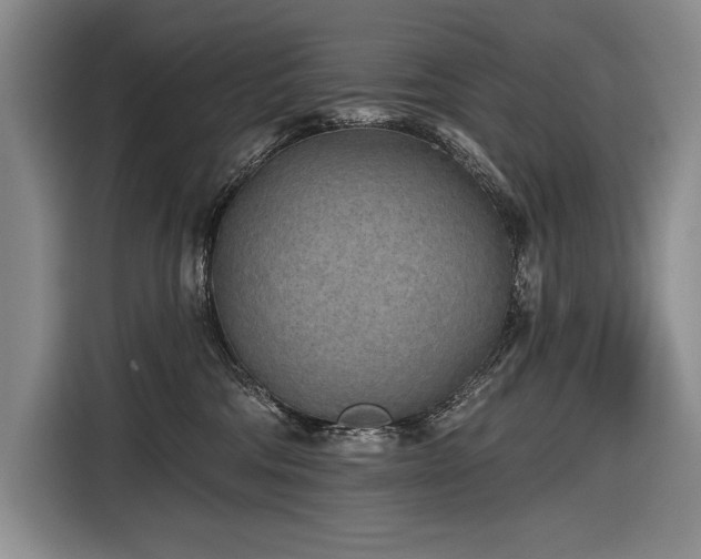 X0000116850330200912221124