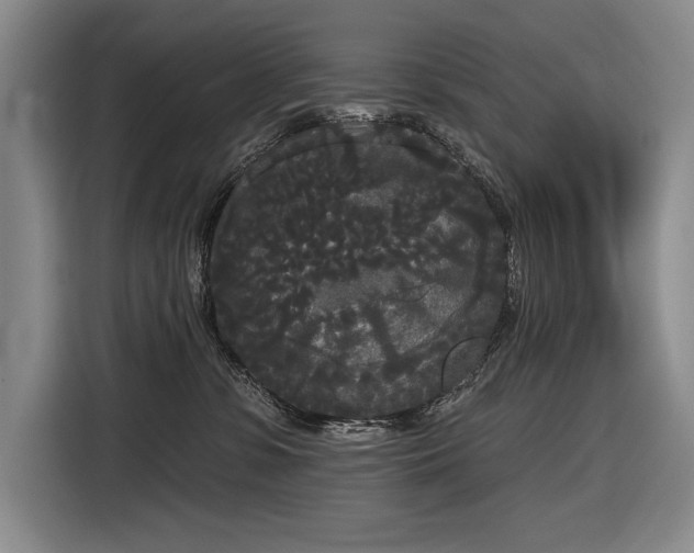 X0000116850331200912221124