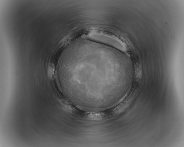 X0000116850332200912221124