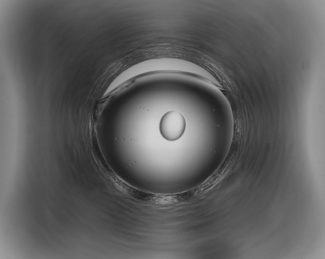 X0000116850333200912221124