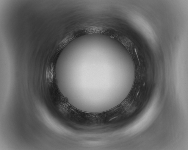 X0000116850334200912221124