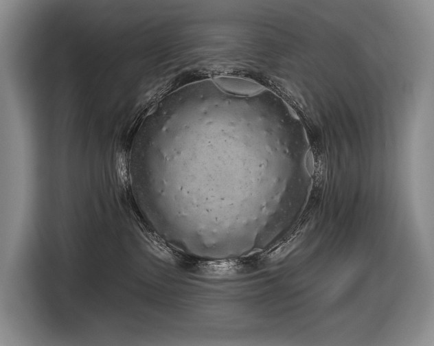 X0000116850335200912221124