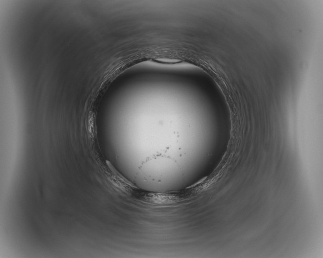 X0000116850336200912221124