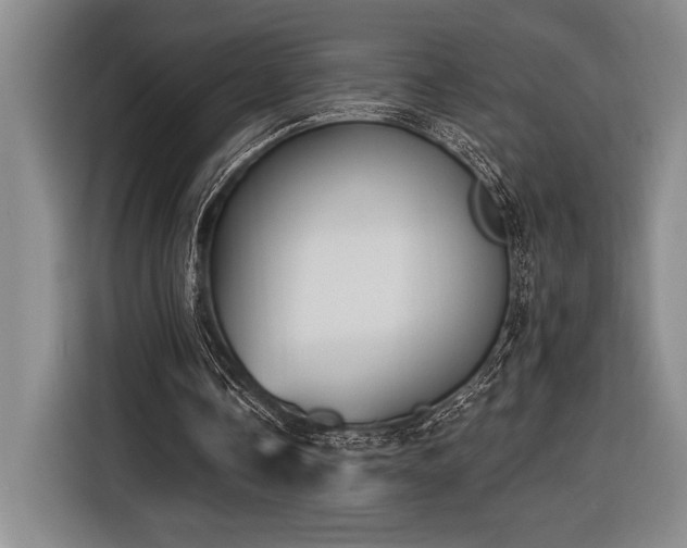 X0000116850338200912221123