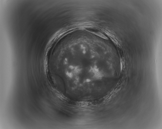 X0000116850339200912221123
