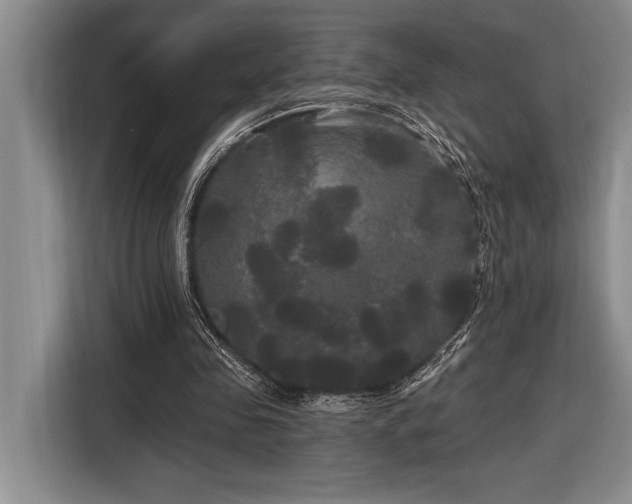 X0000116850341200912221123