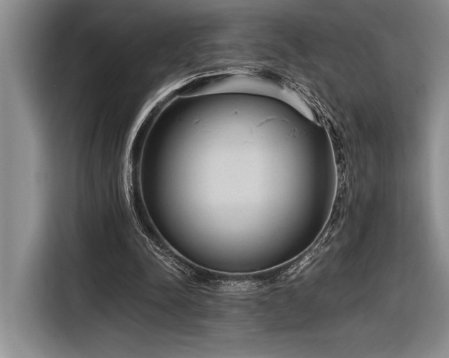 X0000116850342200912221123