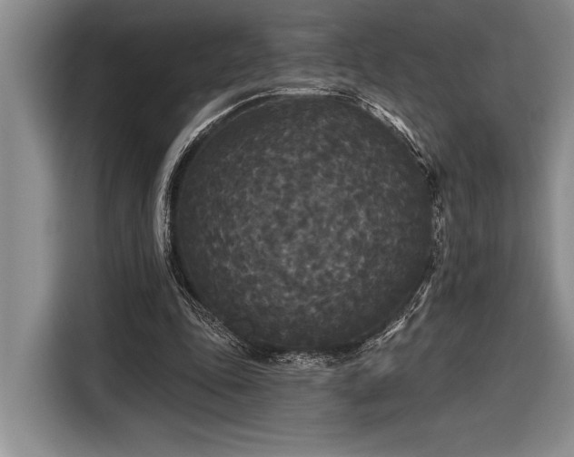 X0000116850343200912221123