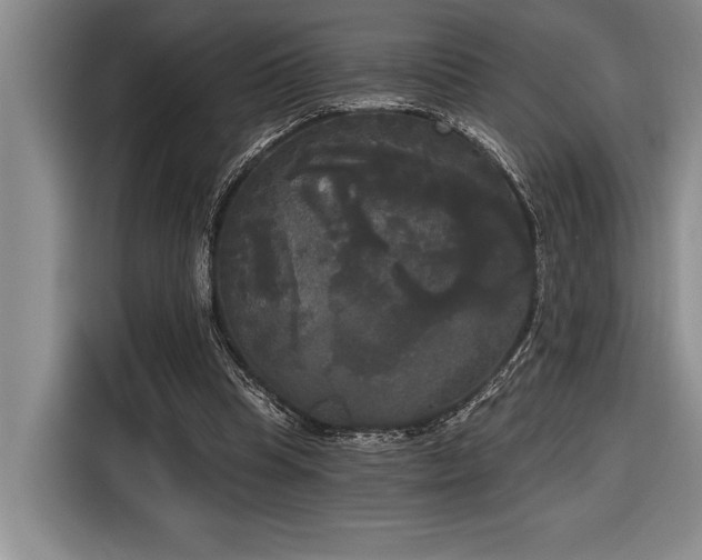 X0000116850345200912221123
