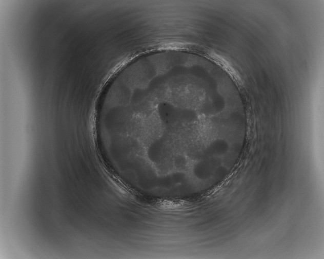 X0000116850346200912221123