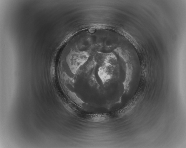 X0000116850347200912221123