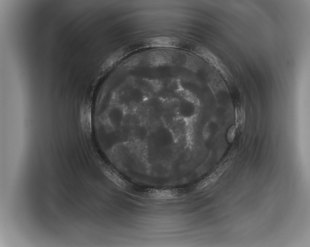X0000116850349200912221123